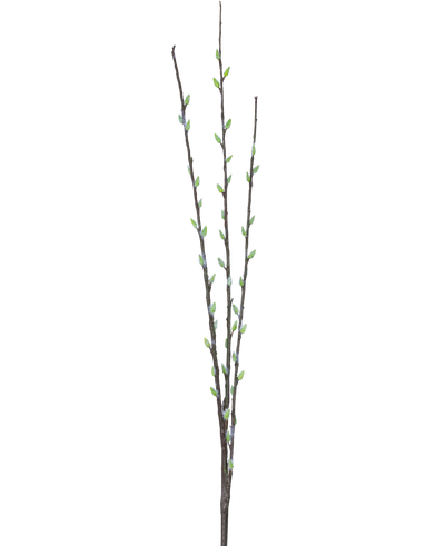 De Kunstbloem Salix wilg 70 cm heeft drie slanke bruine takken met kleine groene knoppen en lichtgrijze, pluizige katjes, gerangschikt langs de stengels tegen een effen witte achtergrond.