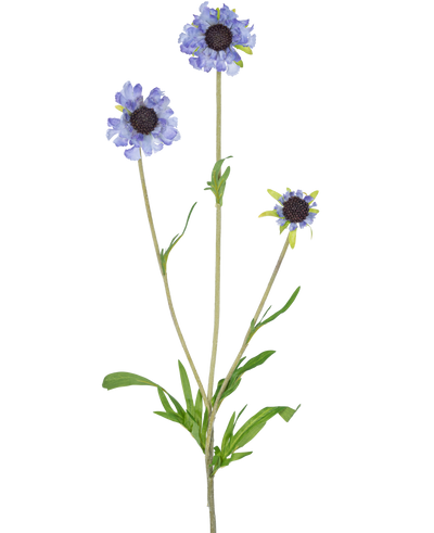 De Kunstbloem Scabiosa 63 cm blauw heeft een enkele groene stengel met drie takken, elk bekroond met een licht paarsblauwe, margrietachtige bloem en donkere, in het midden langwerpige groene bladeren, allemaal tegen een effen witte achtergrond.