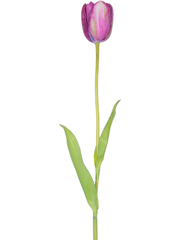 Een Kunstbloem Franse Tulp 60 cm paars, een enkele paarse tulp met groene bladeren en een lang staal, geïsoleerd op een witte achtergrond.