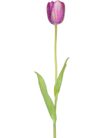 Een Kunstbloem Franse Tulp 60 cm paars, een enkele paarse tulp met groene bladeren en een lang staal, geïsoleerd op een witte achtergrond.