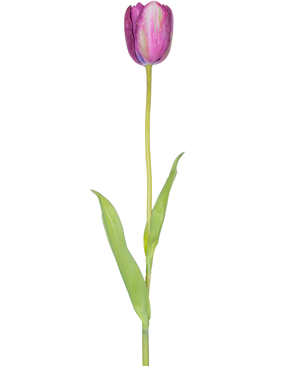 Een Kunstbloem Franse Tulp 60 cm paars, een enkele paarse tulp met groene bladeren en een lang staal, geïsoleerd op een witte achtergrond.