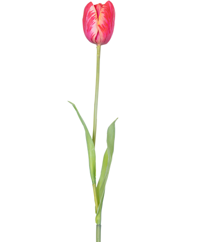 Een enkele Kunstbloem Franse Tulp 60 cm rood met levendige rode bloemblaadjes en groene blaadjes op een steel, tegen een witte achtergrond.