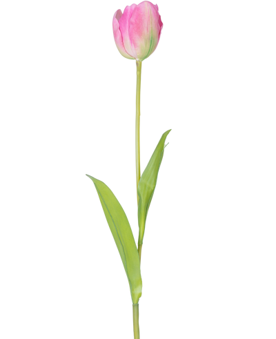 Een enkele Kunstbloem Franse Tulp 63 cm roze met een lange groene steel en twee groene bladeren, geïsoleerd op een witte achtergrond.