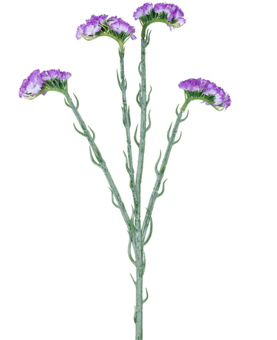 The Artificial Branch Statice 64 cm purple has a single green stem with five branches, each covered with clusters of small, purple flowers with ruffles, against a white background.