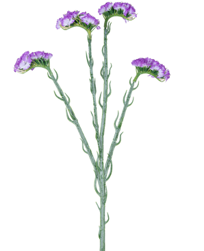 De Kunsttak Statice 64 cm paars heeft een enkele groene stengel met vijf takken, elk bedekt met clusters van kleine, paarse bloemen met ruches, tegen een witte achtergrond.