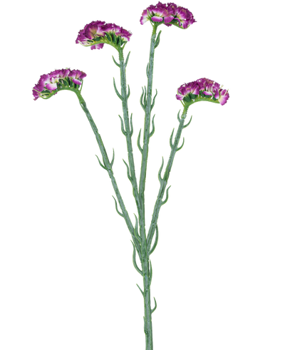 De Kunsttak Statice 64 cm donkerpaars heeft drie slanke groene stelen met meerdere takken, elk bedekt met een aantal kleine, ruche donkerpaarse bloemen, allemaal tegen een witte achtergrond.
