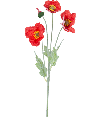 De Kunstbloem Poppy Real Touch rood 60 cm heeft een enkele steel met drie levendige rode papaverbloemen, een gesloten knop en groene bladeren, tegen een effen witte achtergrond.