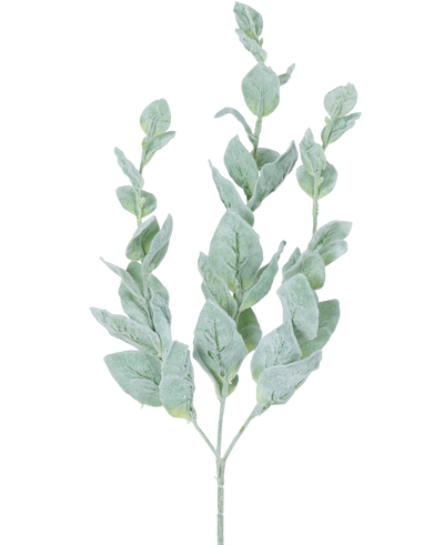 De Kunstbloem Eucalyptus 70 cm is een enkele groene eucalyptus stam met meerdere afgeronde, zachte, bleke, zilverkleurige bladeren tegen een witte achtergrond.