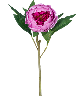 De Kunstbloem Lotus pioenroos Real Touch in paars, 58 cm lang, heeft gelaagde bloembladen, groene bladeren en een lange steel. Afgebeeld tegen een effen witte achtergrond.