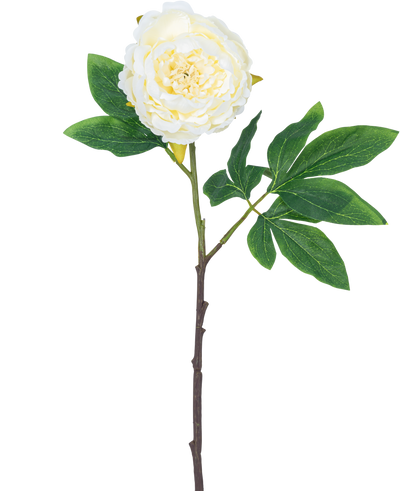 Kunstbloem Pioenroos 61 cm wit: een enkele witte pioenroos met gelaagde bloemblaadjes, groene bladeren en een lange bruine staal, geïsoleerd op witte achtergrond.