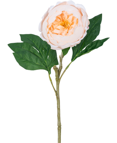 De Kunstpioen Real Touch Crème Wit 58cm heeft een enkele kunstpioenstengel met een grote, witte crèmekleurige bloem en groene bladeren, tegen een witte achtergrond.