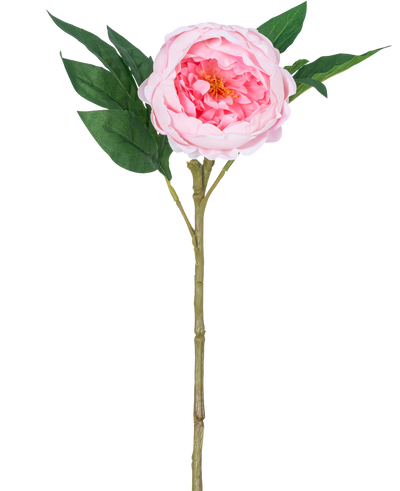 De Kunstpioen Real Touch Roze 58cm is een kunstroze pioenroos met gelaagde bloemblaadjes, een geel hart, groene bladeren en een lange bruine steel, afgebeeld tegen een effen witte achtergrond.