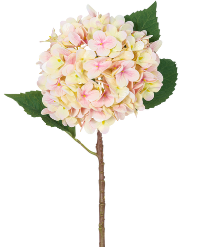 De Kunstbloem Hortensia Real Touch Roze 58 cm is een enkele kunsthortensiastengel met zachtroze bloemblaadjes en twee grote groene bladeren, perfect voor decoratie en gepresenteerd tegen een witte achtergrond.