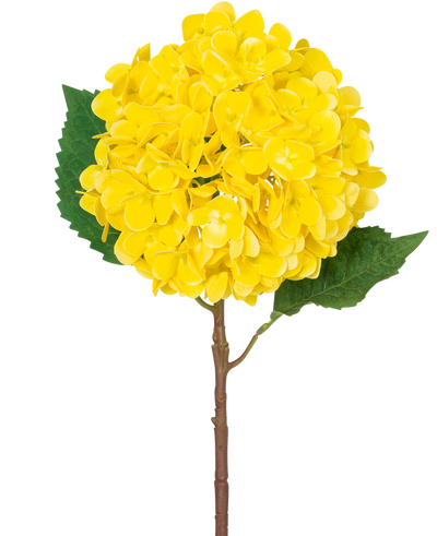 De Kunstbloem Hortensia Real Touch geel 58 cm heeft een enkele gele hortensia met gelaagde bloemblaadjes, twee grote groene bladeren en een bruine steel, tegen een effen witte achtergrond.