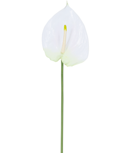 De Kunstbloem Anthurium 68 cm wit heeft een enkele witte kunst anthurium met een lichtgele spadix op een lange, groene steel. Ideaal voor elke ruimte, biedt duurzame elegantie en heeft geen water nodig.