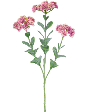 De Kunsttak Sedum 56 cm lichtroze heeft een enkele groene stengel met meerdere takken, elk versierd met trosjes kleine, lichtroze bloemen met afgeronde bloemblaadjes, tegen een witte achtergrond.