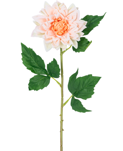 De Kunstbloem Dahlia Real Touch champagne 54 cm heeft een enkele steel met een licht champagne dahlia bloem in volle bloei en groene bladeren, afgebeeld tegen een witte achtergrond.