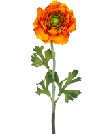 The Artificial Flower Ranunculus 51 cm orange is an artificial orange ranunculus flower with layered petals and green leaves on a long stem, perfect as a decorative accent.