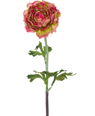 The Artificial Flower Ranunculus 51 cm pink/green is a single artificial ranunculus with pink and green petals, green leaves and a long stem, against a white background.