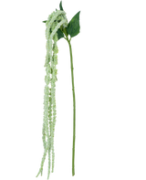 De Kunstbloem Amaranthus 124 cm groen heeft een enkele groene stengel met lange, hangende trossen kleine, lichtgroene bloemen en twee grote groene bladeren, tegen een witte achtergrond.