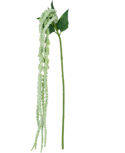 De Kunstbloem Amaranthus 124 cm groen heeft een enkele groene stengel met lange, hangende trossen kleine, lichtgroene bloemen en twee grote groene bladeren, tegen een witte achtergrond.