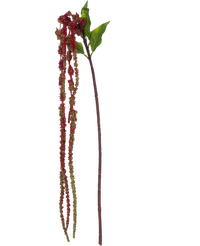 Artificial Flower Amaranthus 122 cm Wine Red