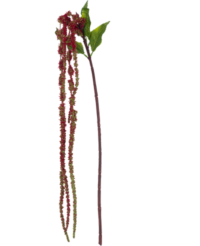 De Kunstbloem Amaranthus 122 cm wijnrood heeft een enkele kunst amarantstengel met groene bladeren en lange trossen kleine, wijnrode bloemen tegen een witte achtergrond.