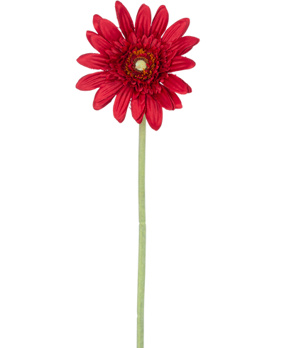 De Kunstbloem Gerbera 53 cm rood heeft een enkele rode gerbera met gelaagde bloemblaadjes en een geel hart op een lange groene steel, tegen een effen witte achtergrond.