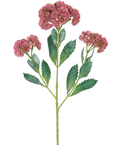 Een digitale illustratie van de Kunsttak Sedum 48 cm rood toont een bloeiende plant met groene bladeren en trossen kleine, roze-paarse bloemen op vertakte stengels, tegen een witte achtergrond.