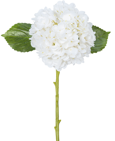 De Kunstbloem Hortensia Real Touch Wit 49 cm heeft een enkele witte hortensia met ronde, volle bloemblaadjes, twee grote groene bladeren en een lange steel, tegen een effen witte achtergrond.