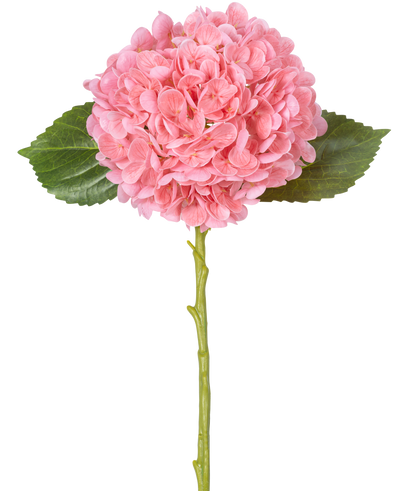De Kunstbloem Charlotte hortensia Real Touch Roze 49 cm heeft een enkele roze hortensia met dichte, ronde trossen bloemblaadjes, twee groene bladeren en een lange groene steel op een witte achtergrond.