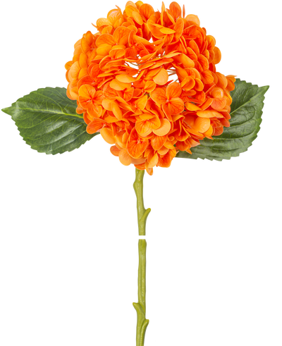 De Kunstbloem Charlotte hortensia Real Touch oranje 49 cm heeft een oranje hortensiabloem met realistische bloemblaadjes, groene bladeren en een lange steel, geïsoleerd op een witte achtergrond.