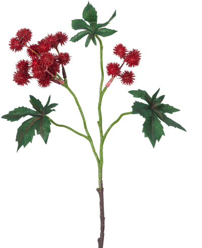 Het Kunsttak Ricinus 43 cm wijnrood heeft een tak van een ricinusolieplant met stekelige wijnrode zaaddozen en grote, groene, stervormige bladeren op een witte achtergrond.