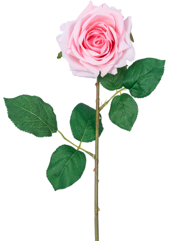 De Kunstroos "Emine" Real Touch Roze 43cm is een enkele lichtroze kunstroos met gelaagde bloemblaadjes, groene bladeren en een lange steel, tegen een witte achtergrond.