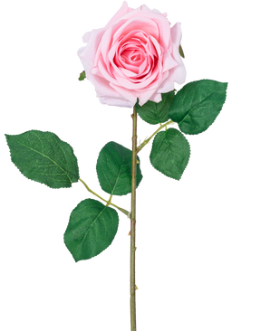 De Kunstroos "Emine" Real Touch Roze 43cm is een enkele lichtroze kunstroos met gelaagde bloemblaadjes, groene bladeren en een lange steel, tegen een witte achtergrond.
