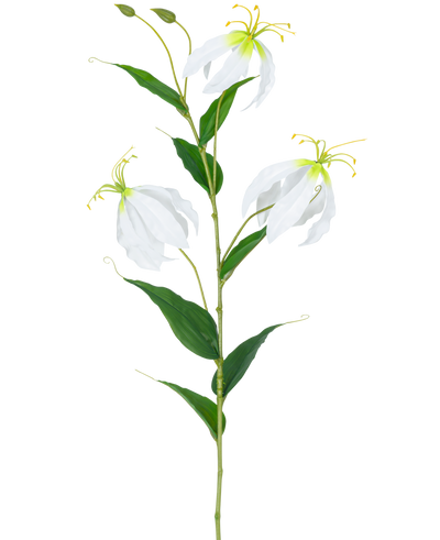 De Kunstbloem Gloriosa Real Touch Wit 75 cm heeft een enkele groene steel met drie open witte Gloriosa bloemen, twee knoppen, lange gele meeldraden en langwerpige groene bladeren tegen een effen witte achtergrond.