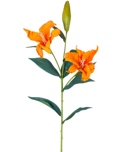 De Kunstbloem Lelie Real Touch oranje 95 cm heeft een enkele steel met twee open oranje lelies, een gesloten knop bovenaan en lange, smalle groene bladeren, alles tegen een witte achtergrond.