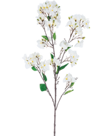 De Kunstbloem Bougainvillea 120 cm wit is een kunstbloemenstengel met meerdere bruine takken, groene bladeren en trossen witte bloemen met gele hartjes, afgebeeld tegen een witte achtergrond.