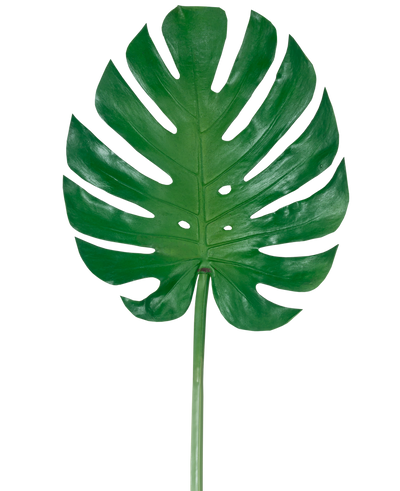 Het Kunstblad Monstera 88cm is een groot kunstgroen monsterablad met diepe splijten en perforaties, tegen een effen witte achtergrond.