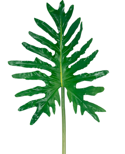 De Kunstblad Philodendron 90cm heeft één groot groen splitblad met diepe lobben en een lange steel, tegen een effen witte achtergrond.