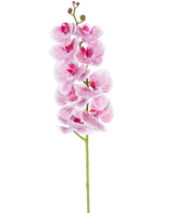 The Artificial Orchid Real Touch Deluxe 105 cm in fuchsia/white has a single stem with multiple blossoms, with lifelike pink veined petals that form a striking decorative accent against a plain white background.