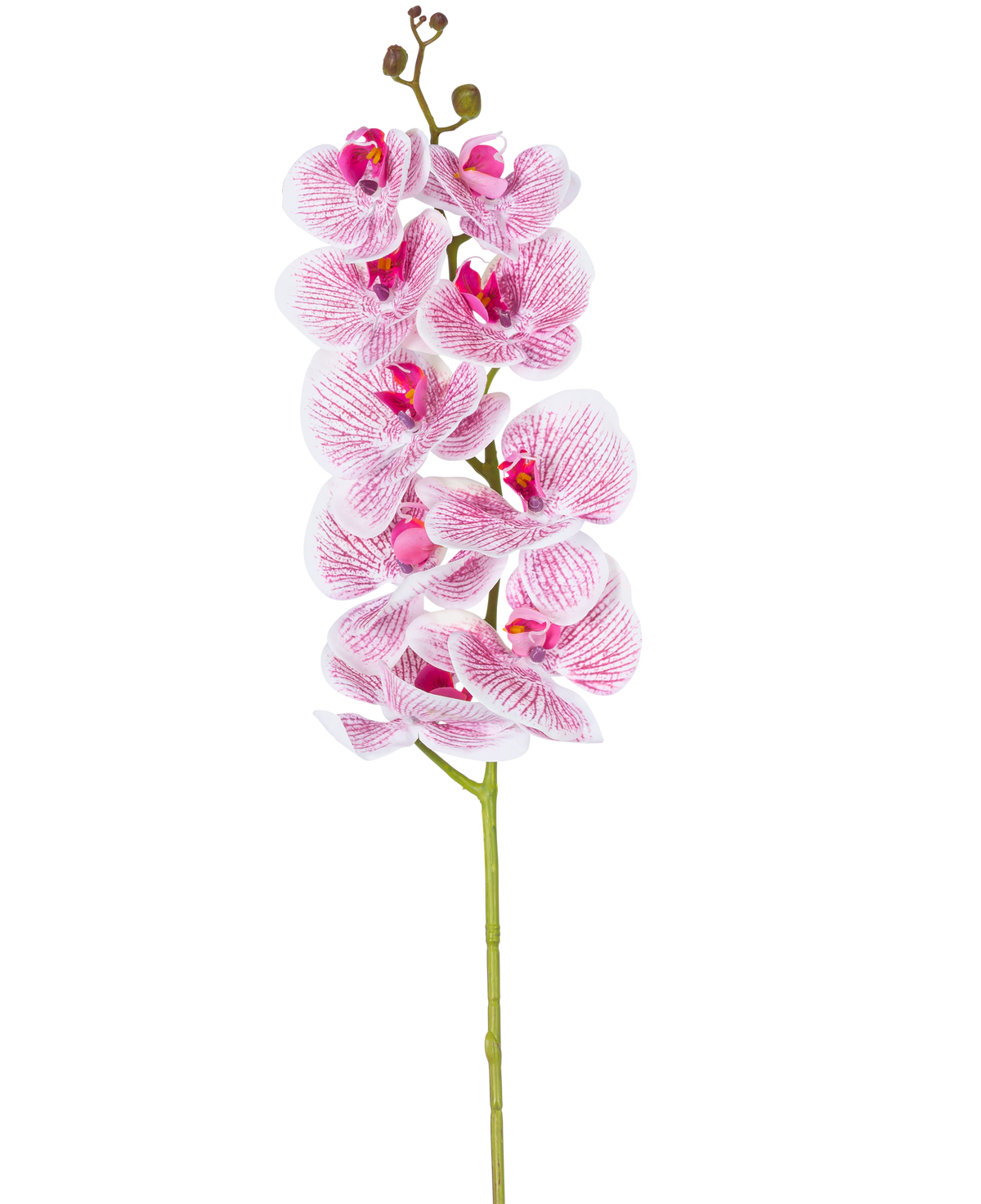 The Artificial Orchid Real Touch Deluxe 105 cm in fuchsia/white has a single stem with multiple blossoms, with lifelike pink veined petals that form a striking decorative accent against a plain white background.