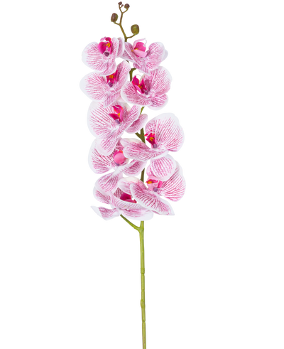 The Artificial Orchid Real Touch Deluxe 105 cm in fuchsia/white has a single stem with multiple blossoms, with lifelike pink veined petals that form a striking decorative accent against a plain white background.