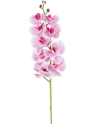 Artificial Orchid Real Touch Deluxe 105 cm Fuchsia/White