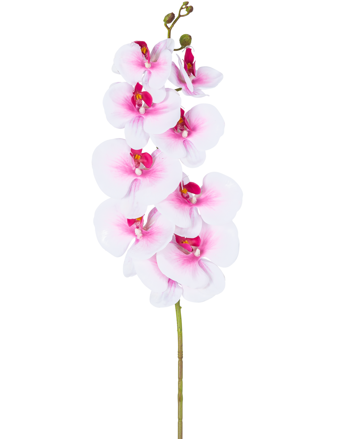 The Artificial Orchid Real Touch Deluxe 105 cm pink/white has a single pink artificial phalaenopsis stem with white accents, realistic silk flowers and buds, all elegantly displayed on a white background.