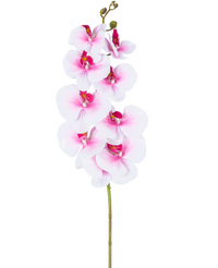 Artificial Orchid Real Touch Deluxe 105 cm Pink/White