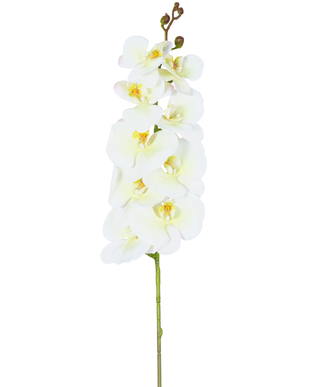 A single sample of the Artificial Orchid Real Touch Deluxe 105 cm white/yellow with multiple flowers and buds, beautifully displayed against a plain white background.