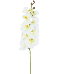 Artificial Orchid Real Touch Deluxe 105 cm white/yellow