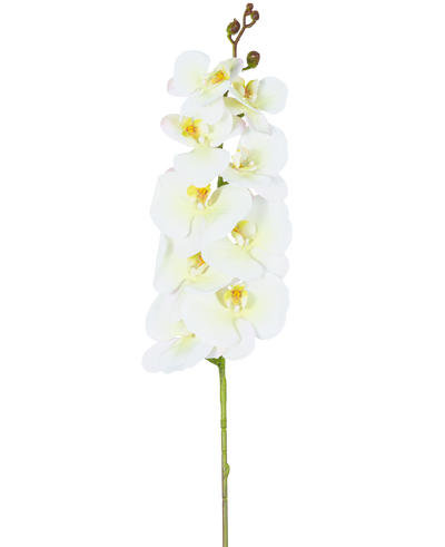 Een enkele staal van de Kunst Orchidee Real Touch Deluxe 105 cm wit/geel met meerdere bloemen en knoppen, prachtig weergegeven tegen een effen witte achtergrond.