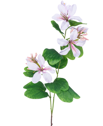 De Kunstbloem Rhododendron 85 cm licht roze heeft een slanke groene steel met trossen grote, witte bloemen met lichtroze hart en nerven, geaccentueerd door brede groene bladeren, tegen een witte achtergrond.